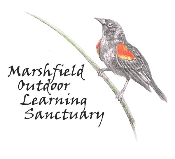 logo logo